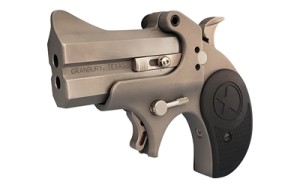 BOND ARMS STINGER-RS 22LR 3" STS NYL