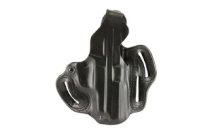 DESANTIS SCBRD SIG P229 RH BLK